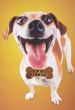 ANNIVERSAIRE - CARTE HUMORISTIQUE 